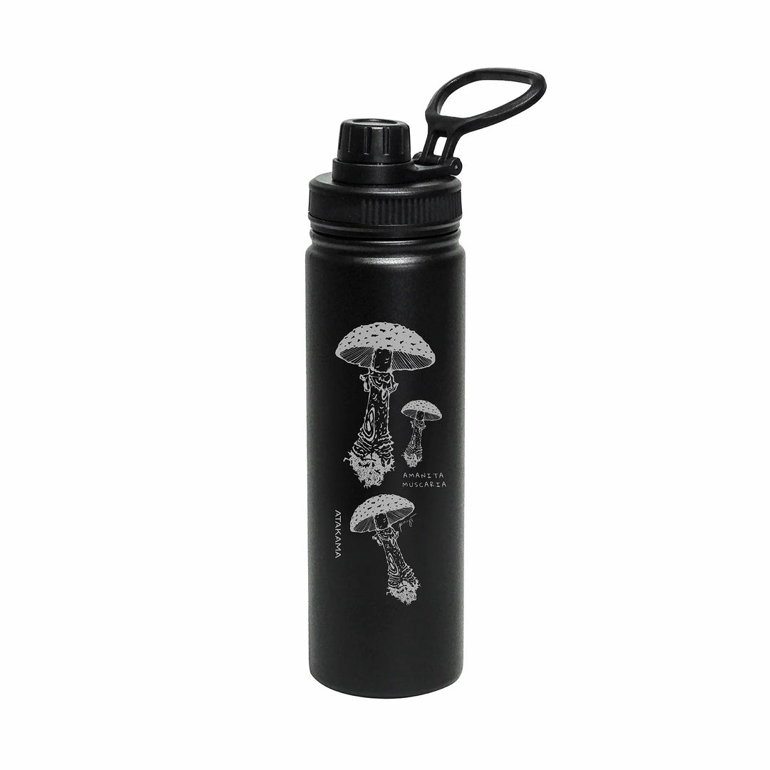 Botellas y termos