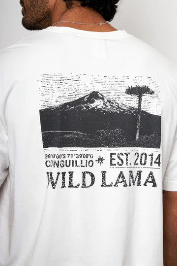 Polera Rolan Organica Blanca hombre