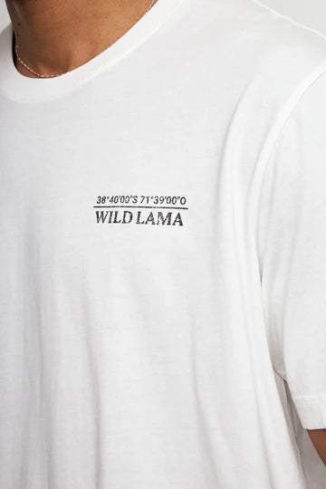 Polera Rolan Organica Blanca hombre