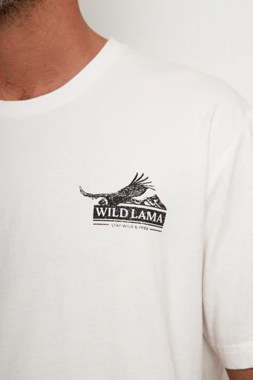 Polera Tori Organica Blanca Hombre